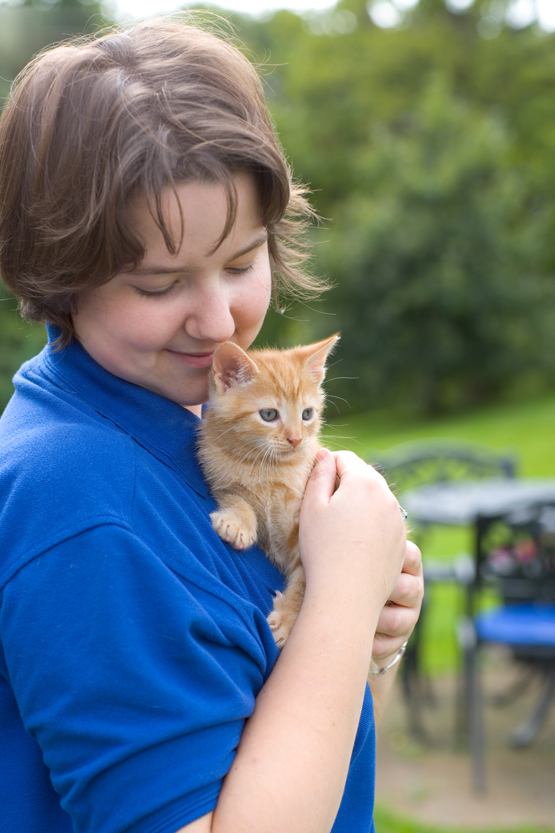kitten and career
